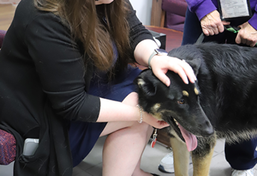 Therapy Dogs Provide Stress Relief at RSU’s ‘Paws & Relax’ Event