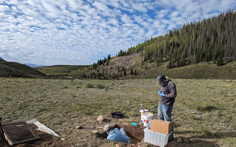 Members of the research team collect samples for eDNA analysis. Care must be taken to not contaminate the samples with modern DNA.