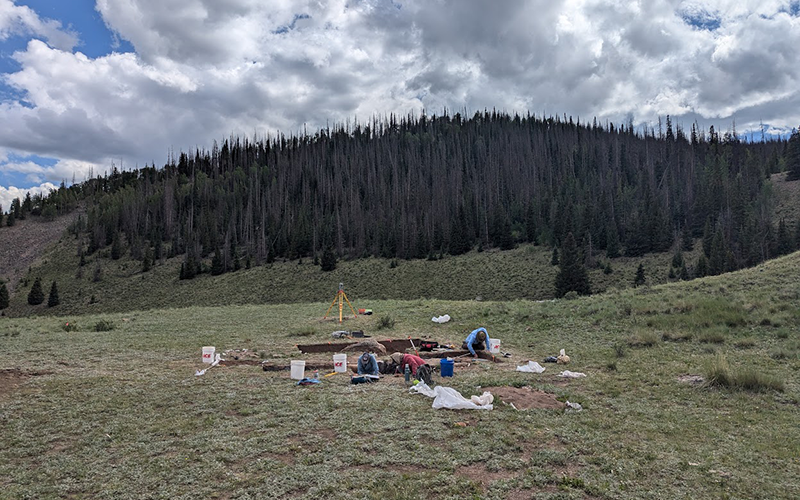 Members of the research team collect samples for eDNA analysis. Care must be taken to not contaminate the samples with modern DNA.