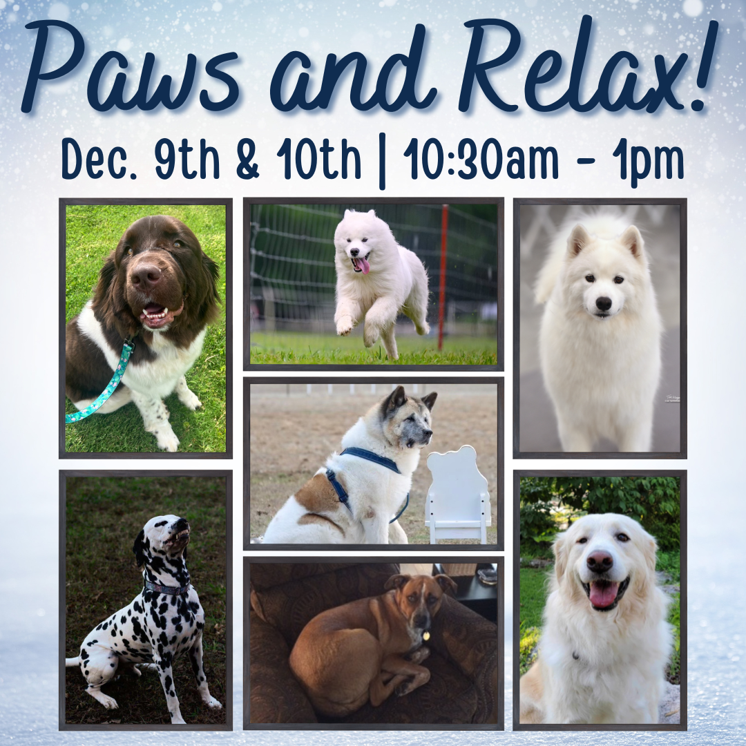 Paws & Relax! – Dec. 9 & 10

Monday, Dec. 9th and Tuesday, Dec. 10th | 10:30 am – 1:00 pm | 
 Library Lounge, 2nd Floor