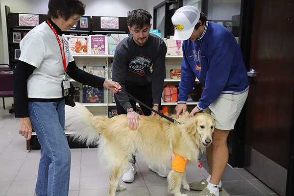 Students petting dogs